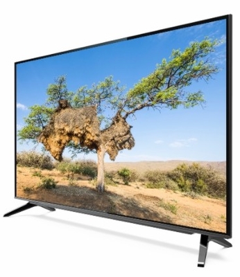 Google TV DLED Kuantum Dot Film ve Vesa Mount Destek